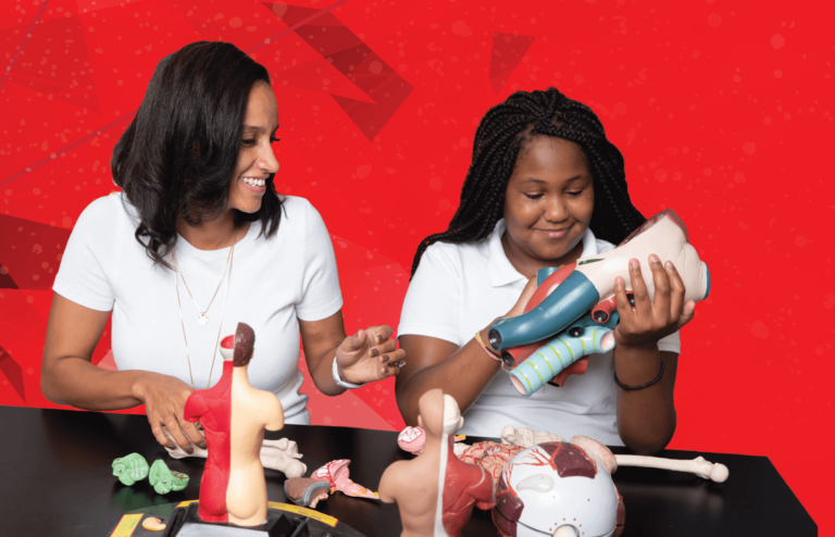 How STEM Mentoring Programs Are Paving the Future of Science and Technology: A Milwaukee Perspective